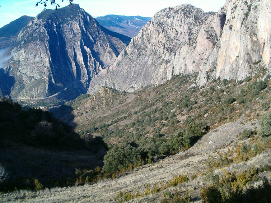 Photo Gallery - Trufa Pyrenees - Trufas de la Ribagorza, Pirineos