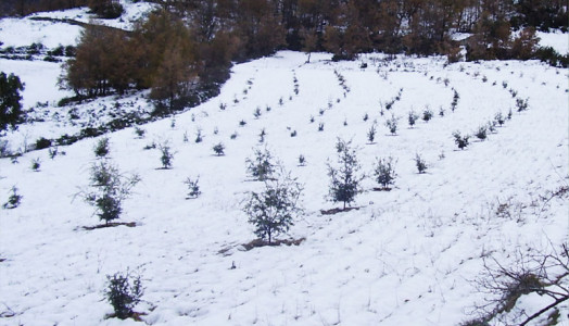 invierno